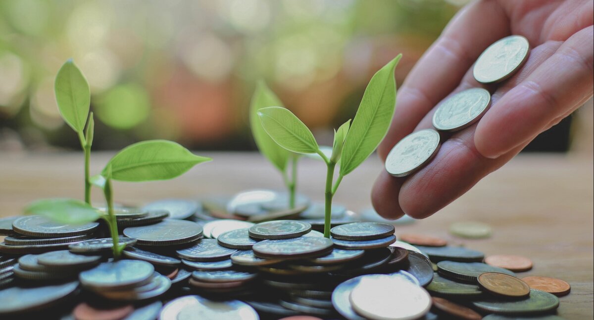 Монета на фоне растения с таблетками - символизирует финансы, медицину.